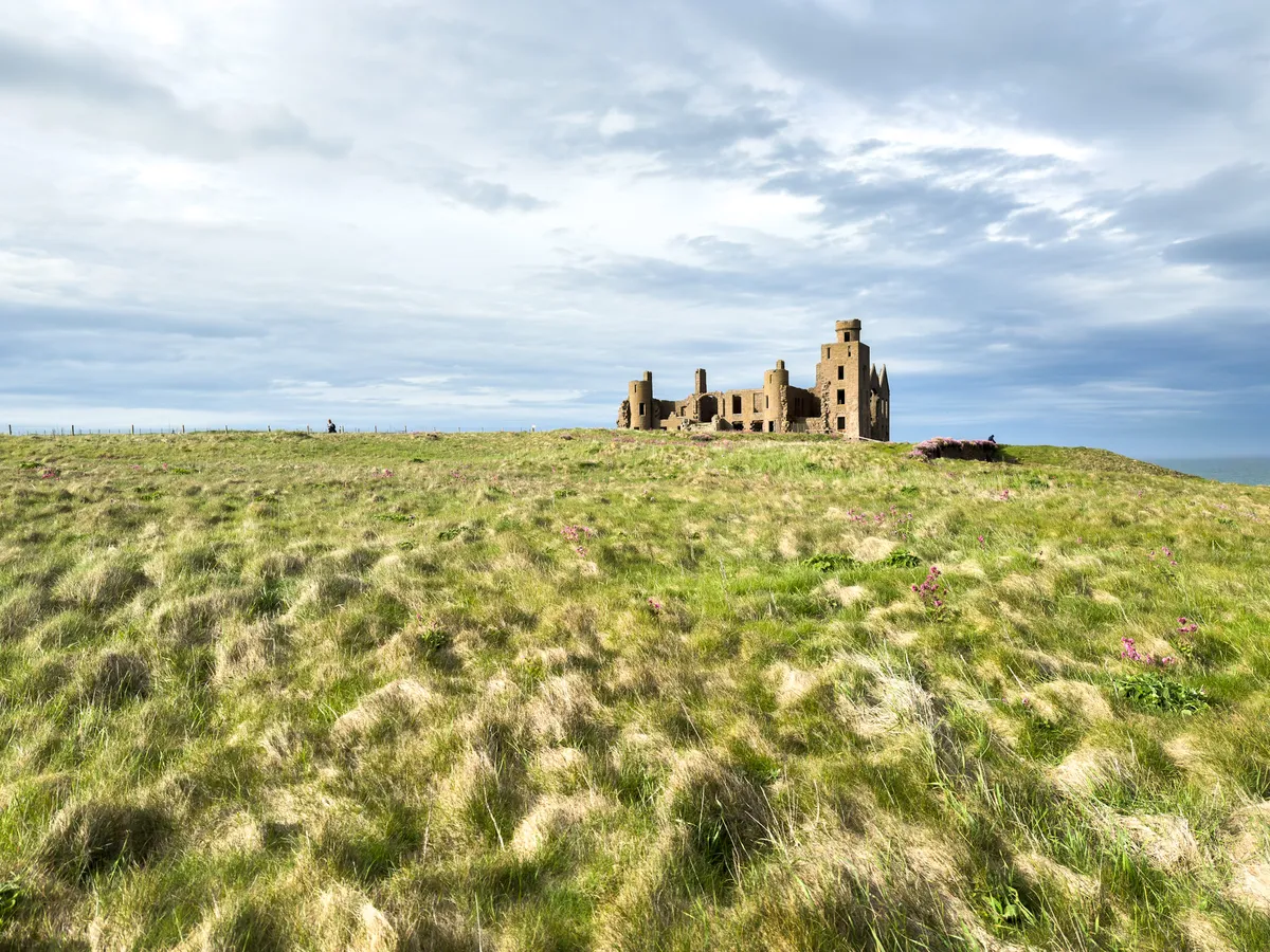 Dracula or Slain castle in the background. Green tall grass waving in the sun in the foreground.