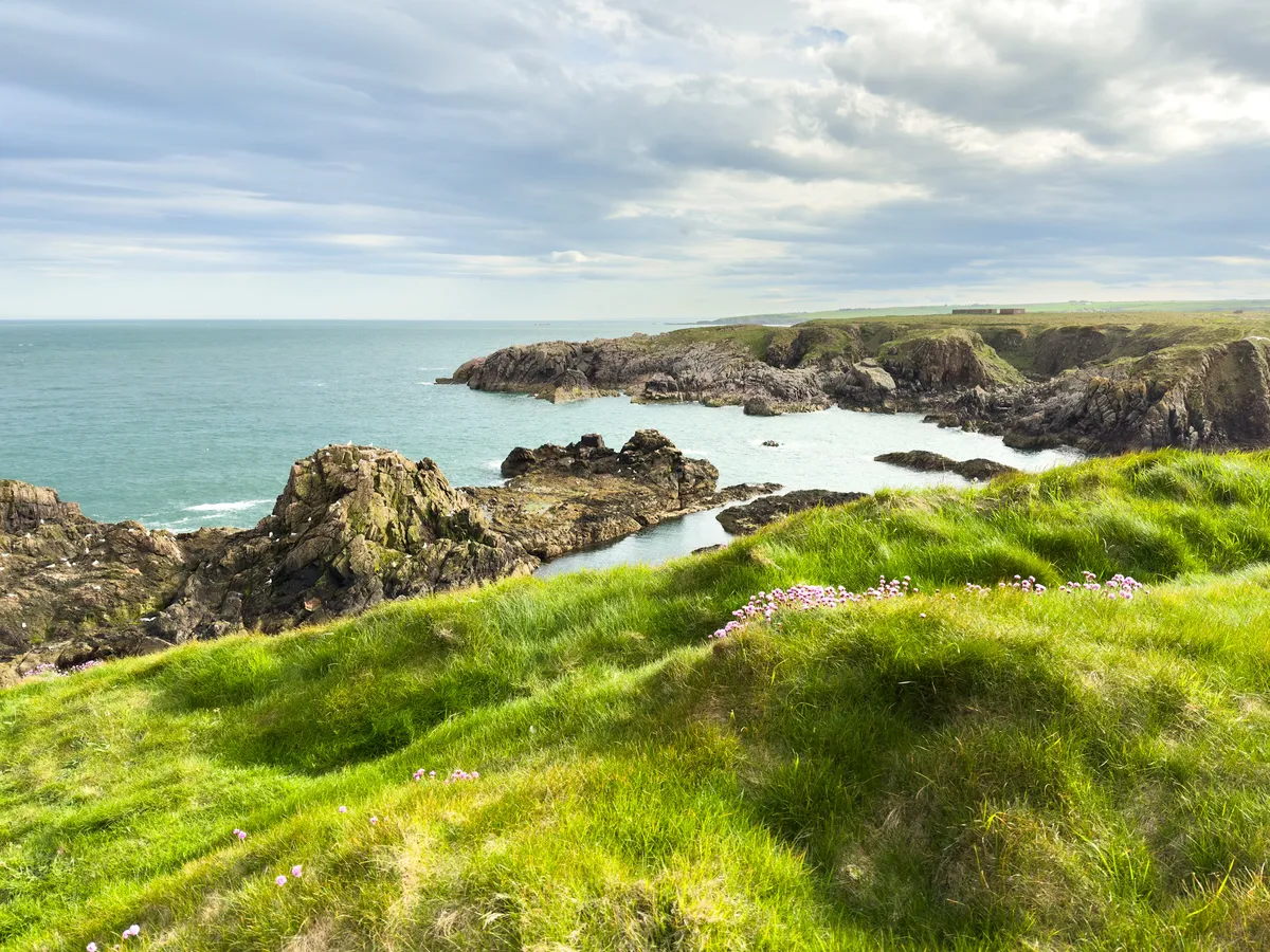 The cliff and beach at the Slain castle. The foreground is green tall grass waving in the wind, the sky is blue with some clouds, and in the middle ground, there are grey big rocks with white seagulls on top,