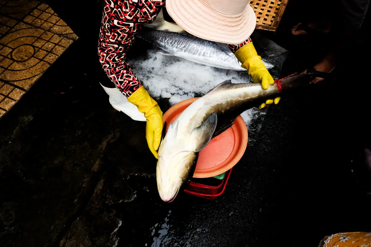 A women putting a fish on a scale