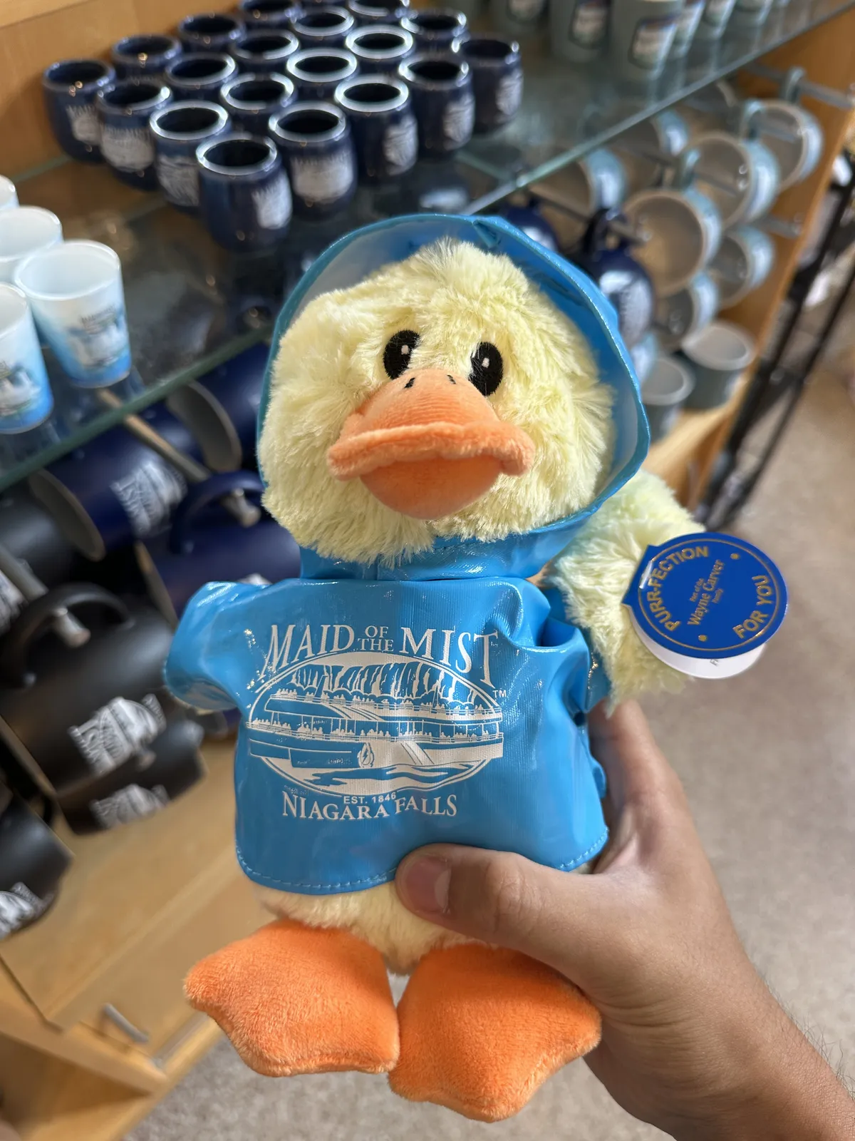 A yellow duck plush toy wearing the Maid of the Mist blue rain coat
