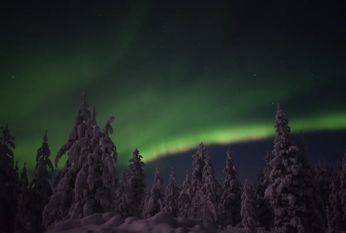 Screenshot from 2026-02-01 21-36-40