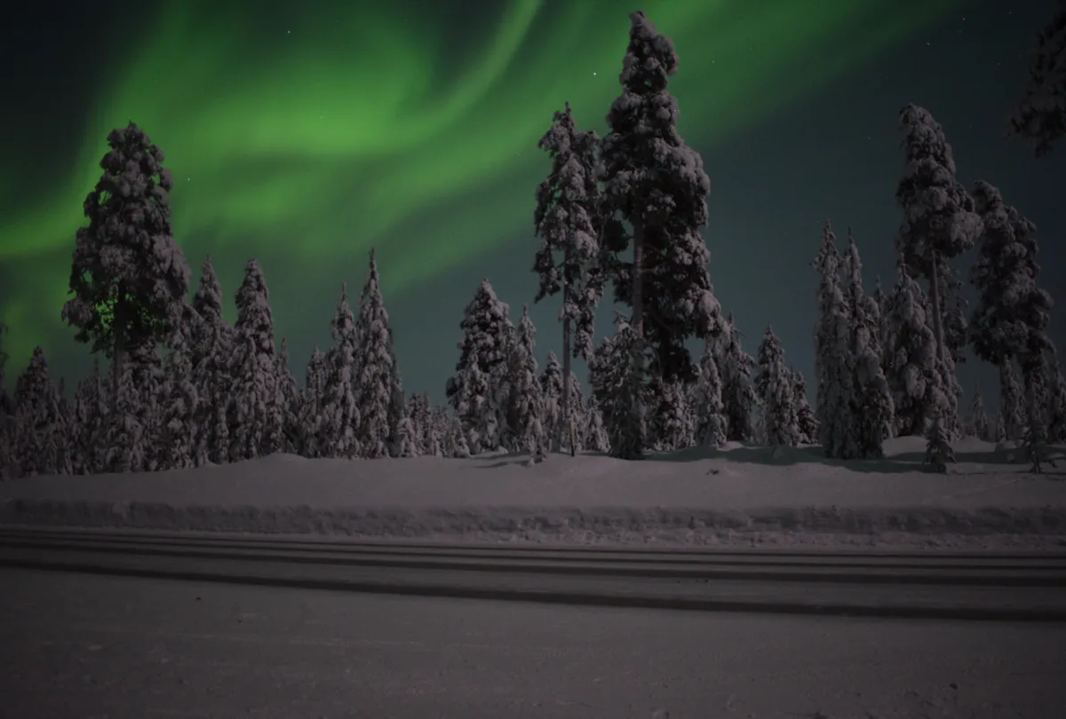 Screenshot from 2026-02-01 21-36-54