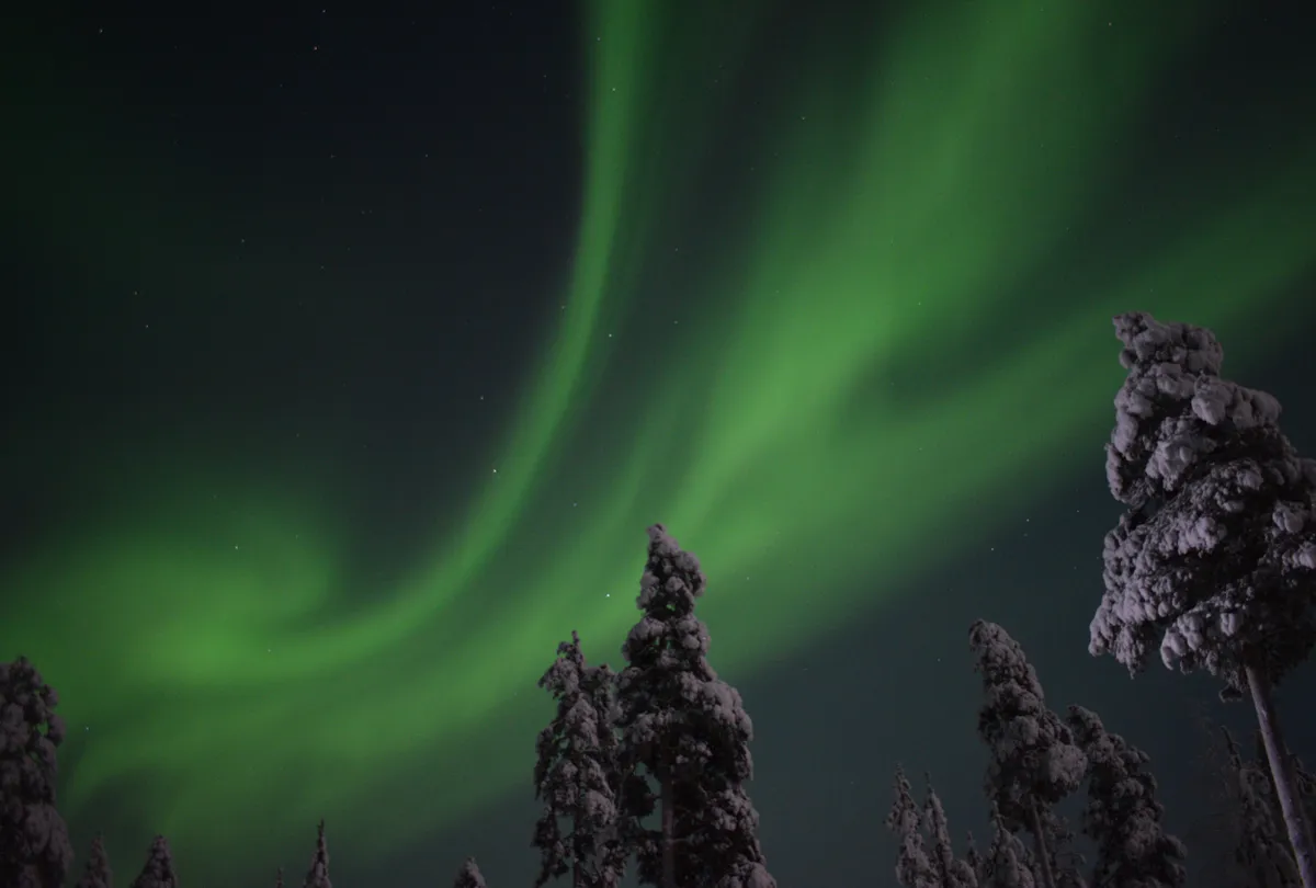 Screenshot from 2026-02-01 21-37-00