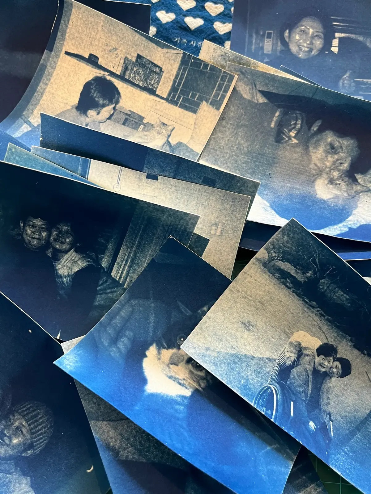 블루프린트 사진집