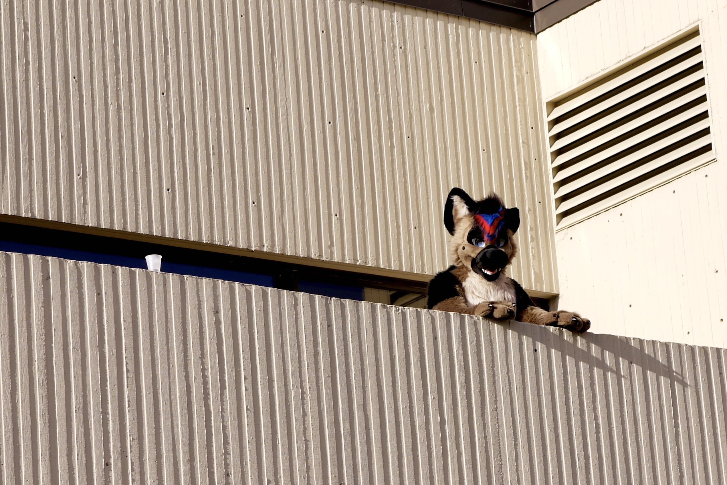 Spotted a good fursuit on the balcony above