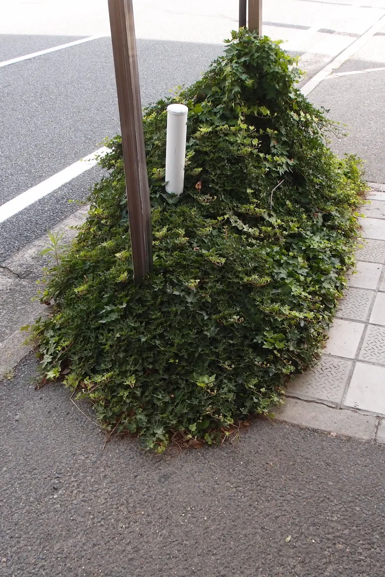 P6225560