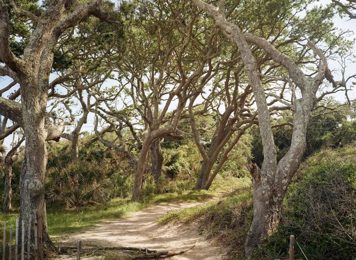 12-000365820002