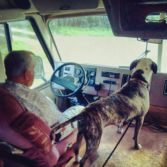 16131980595_415416d17a_o-2