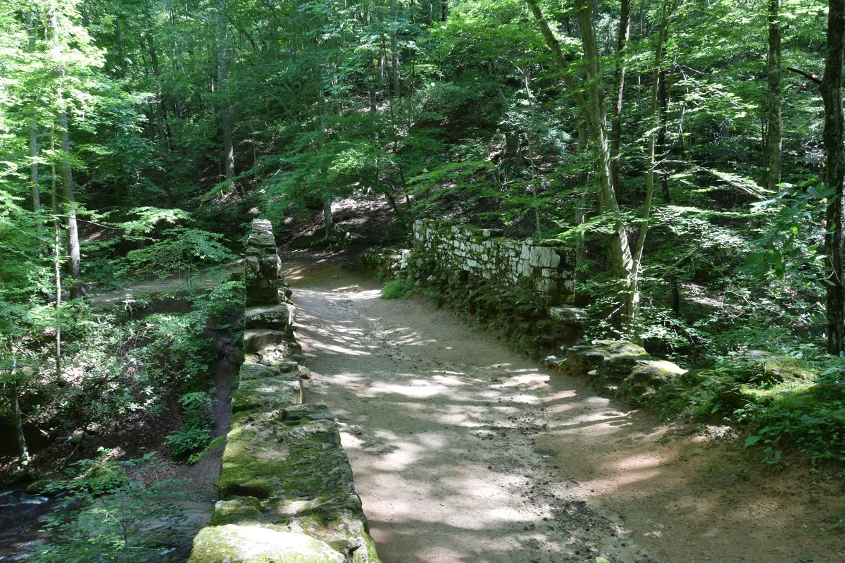 27652426091_481b2953ed_k