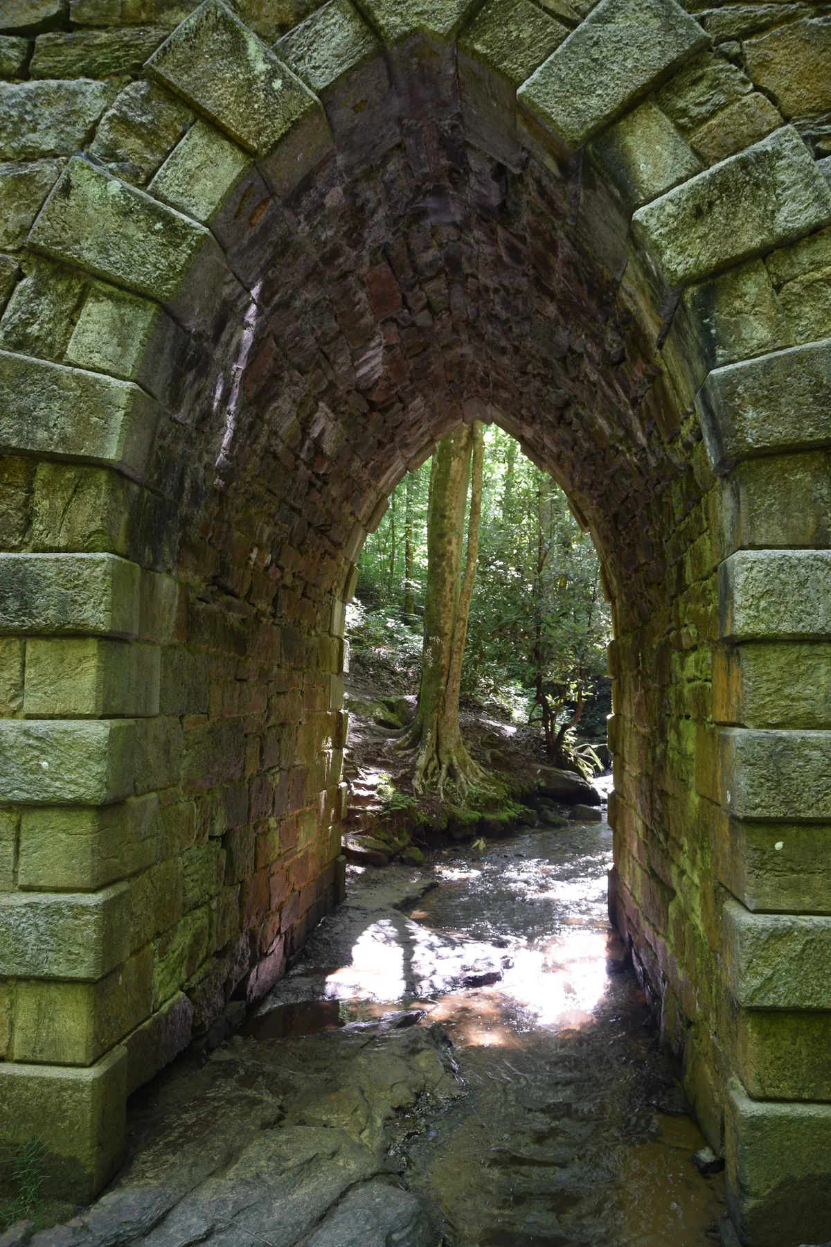 27652490311_292979fb91_k