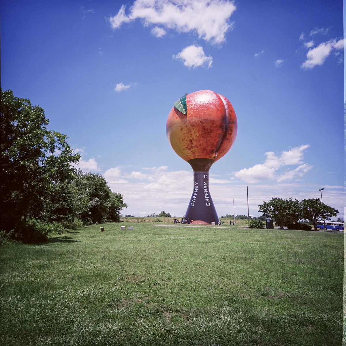 Peachoid