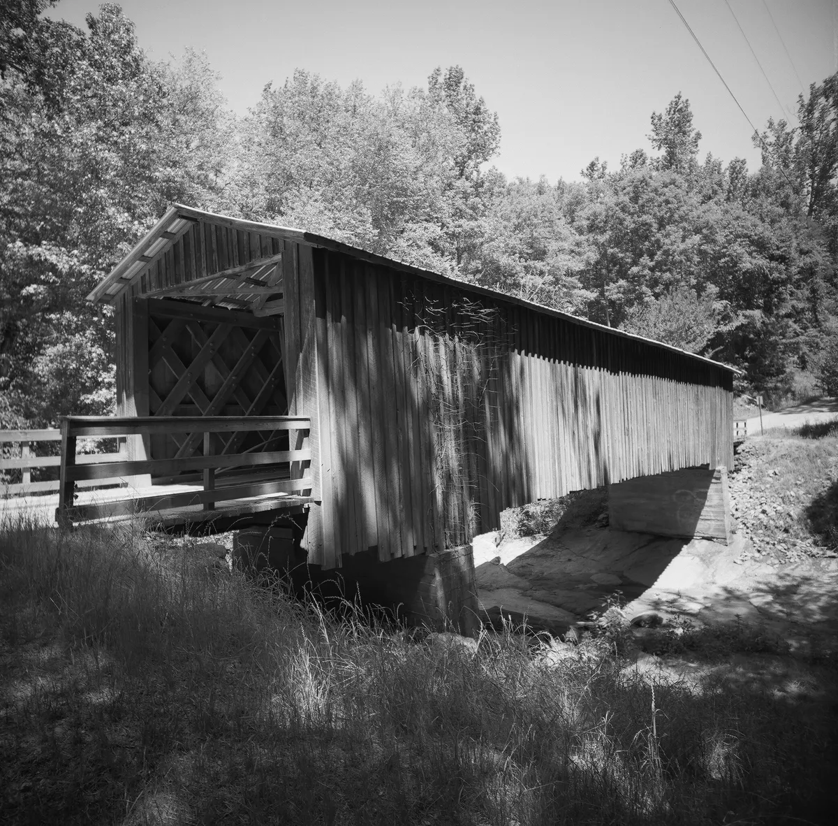 51210003_27181247413_o