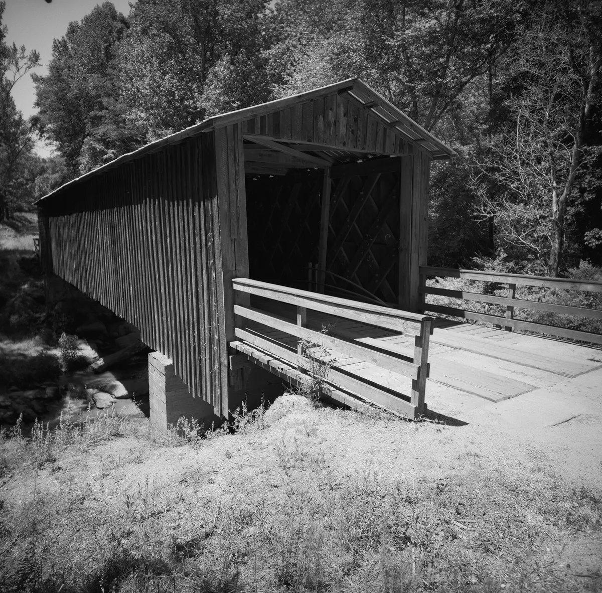 51210006_27691765592_o