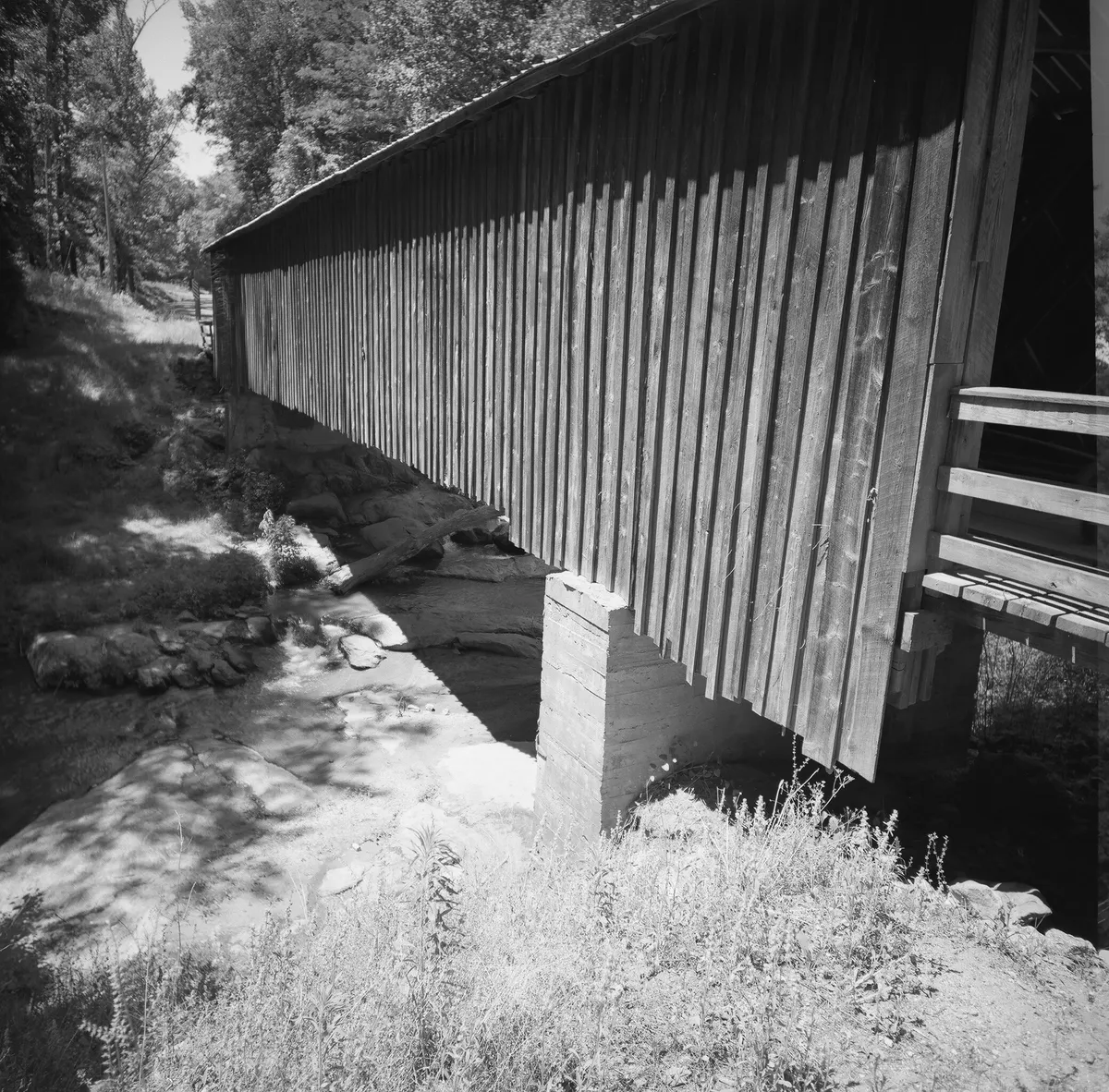 51210007_27792168525_o