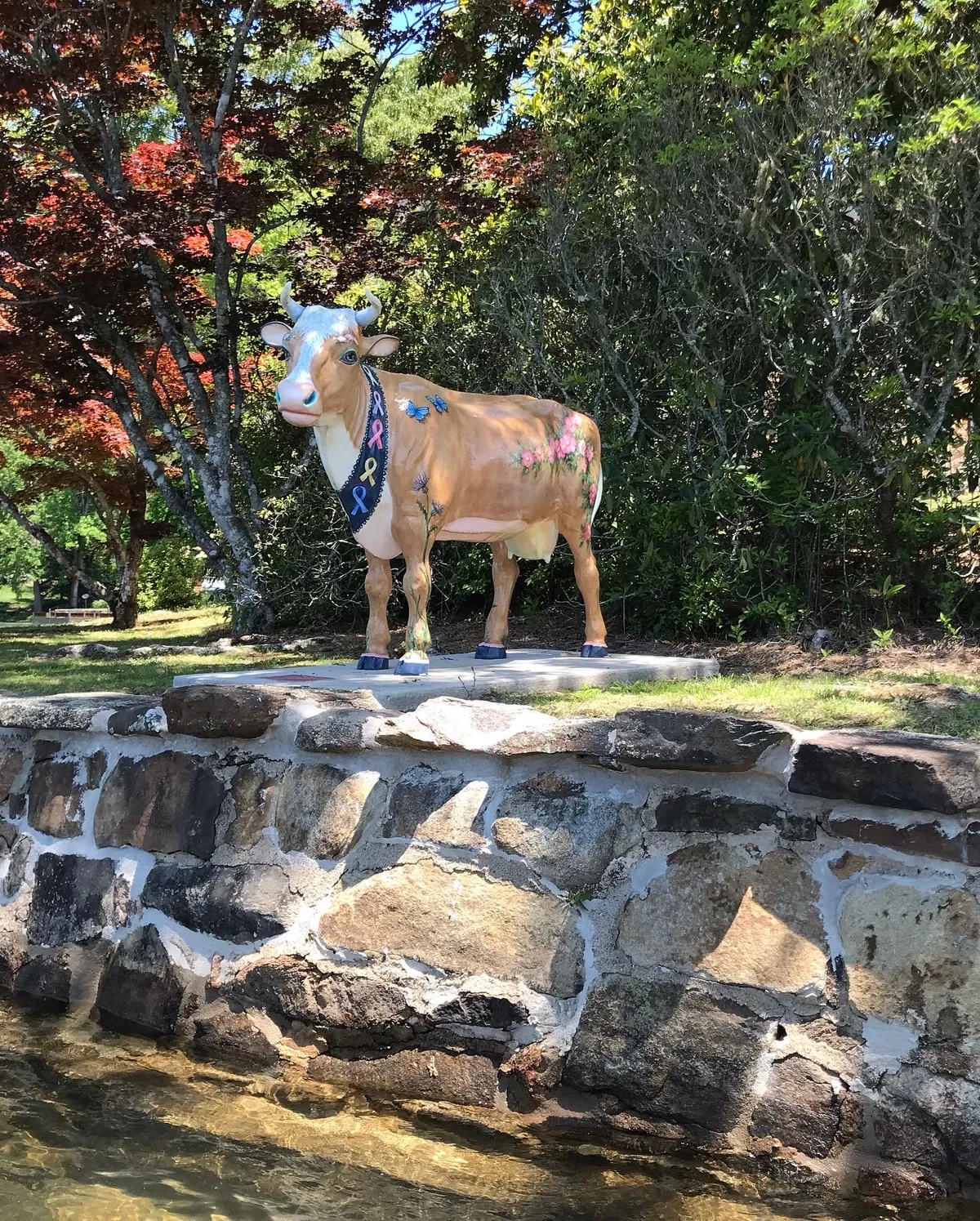 52244595297_0313176539_o