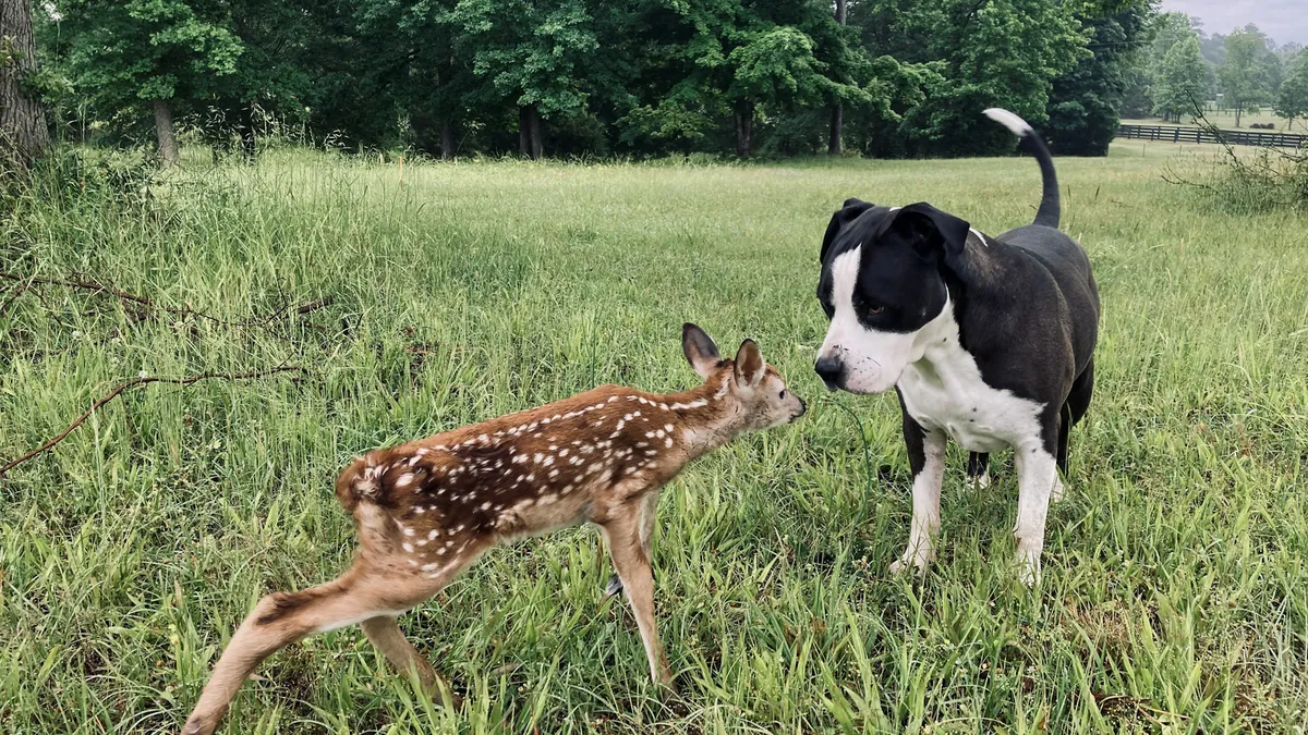 53773641344_946dc4f7d8_4k