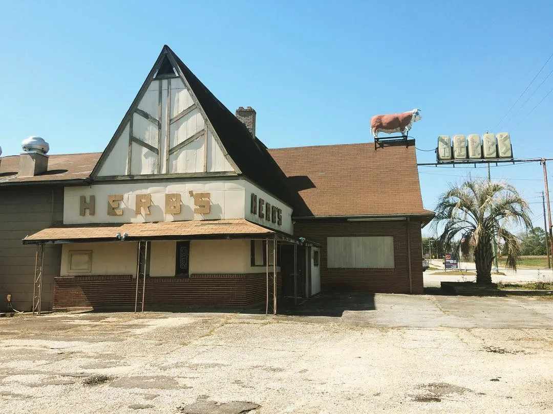 54189589599_906743d68b_o