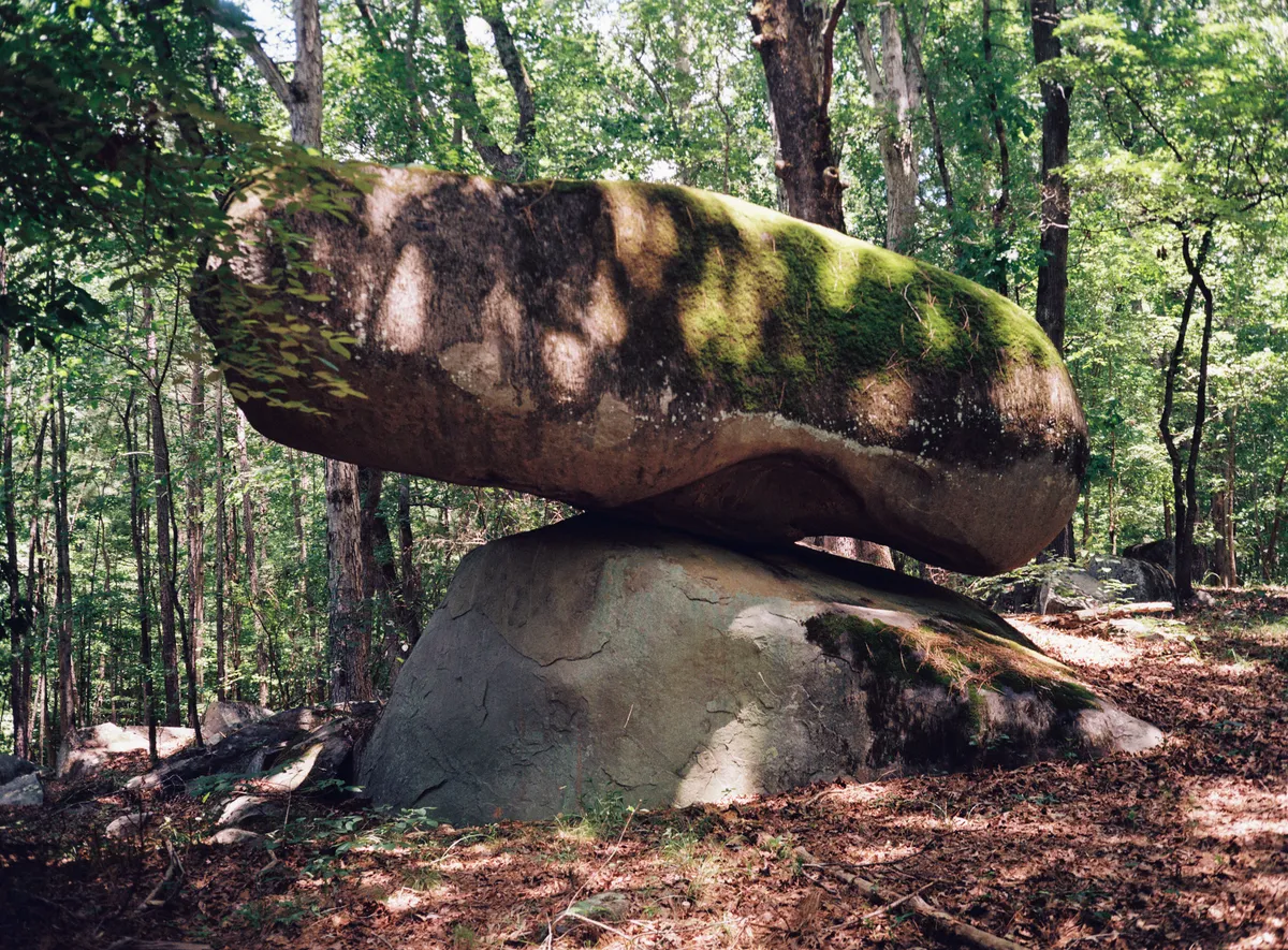 54642316365_03eca01496_k