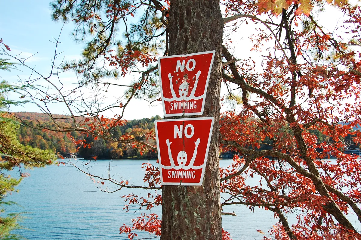 6405189623_dde41c6ac5_o