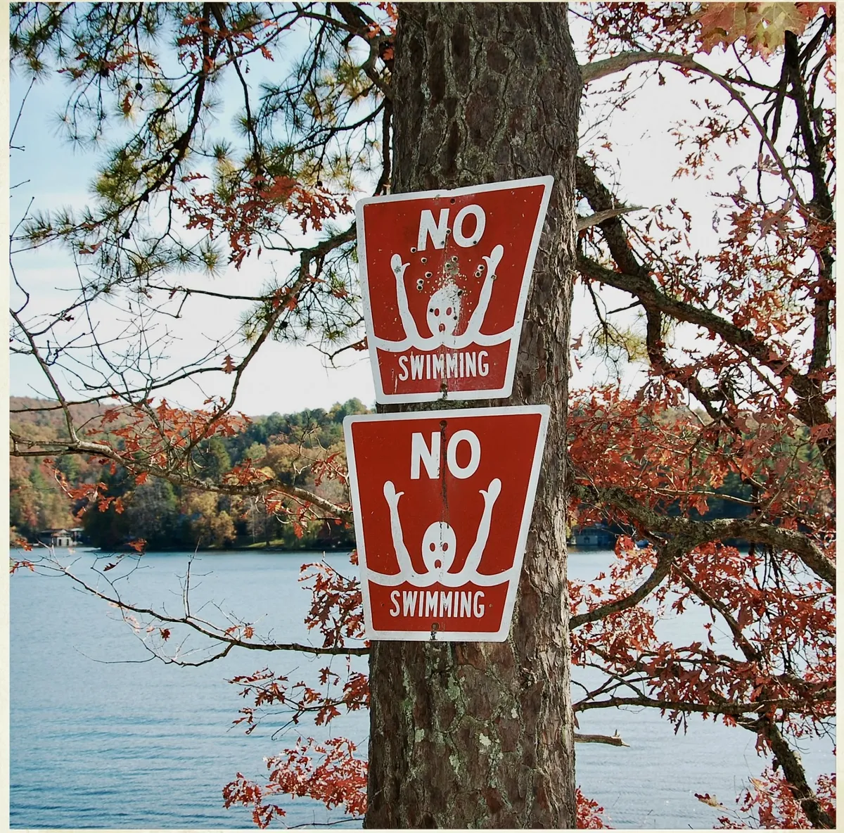 No swimming