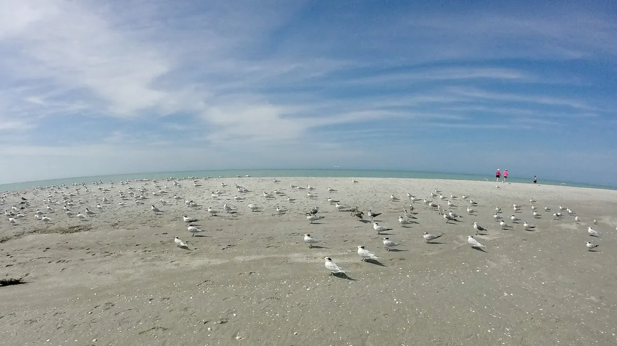 Blind Pass, Sanibel-Captiva FL