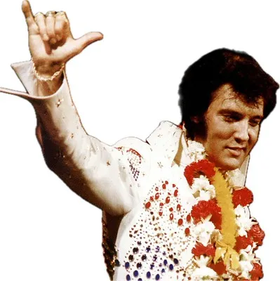 Elvis