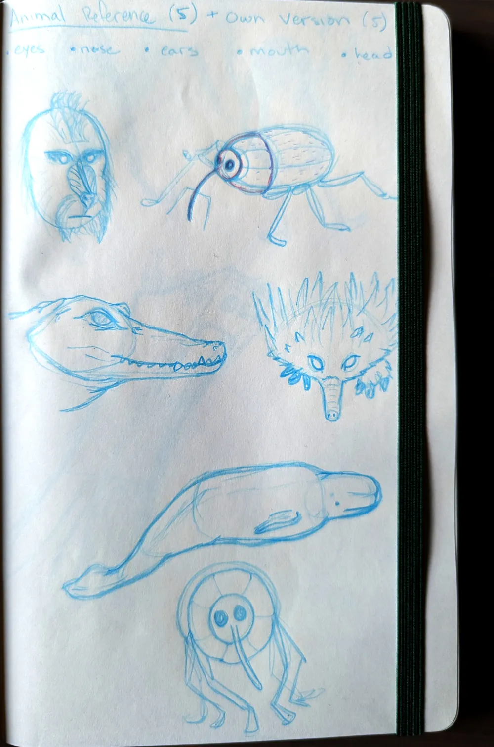 animal-sketches1