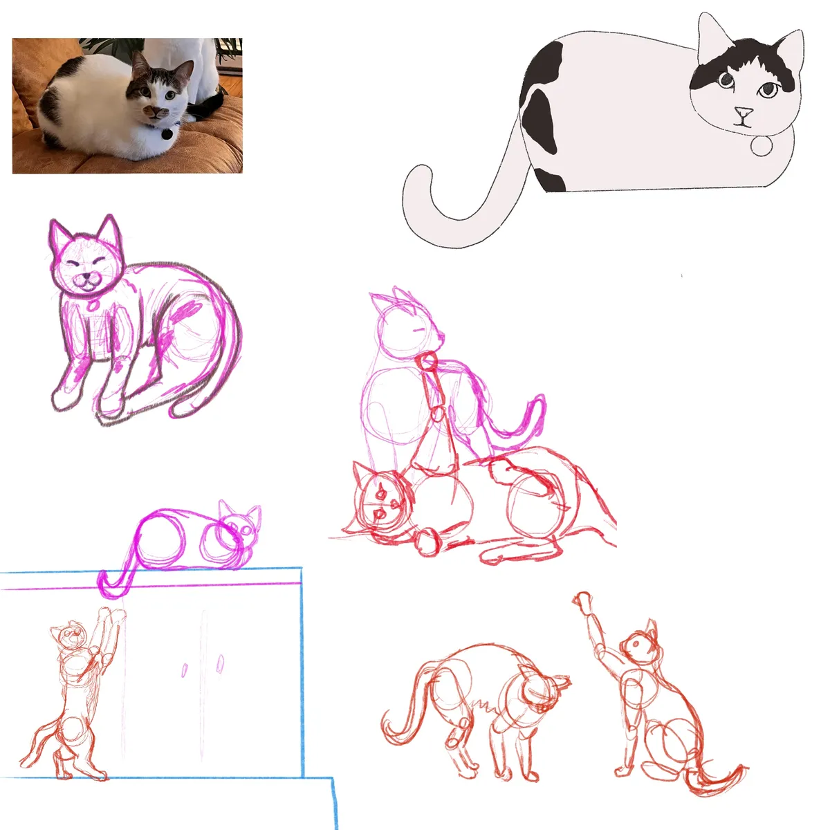 Pet-sketches