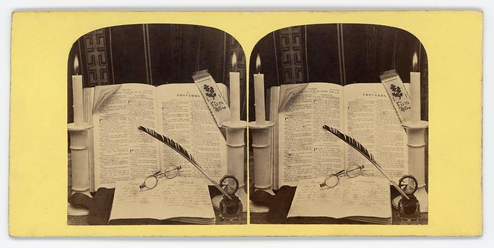 Untitled (Vénus à la fourrure)