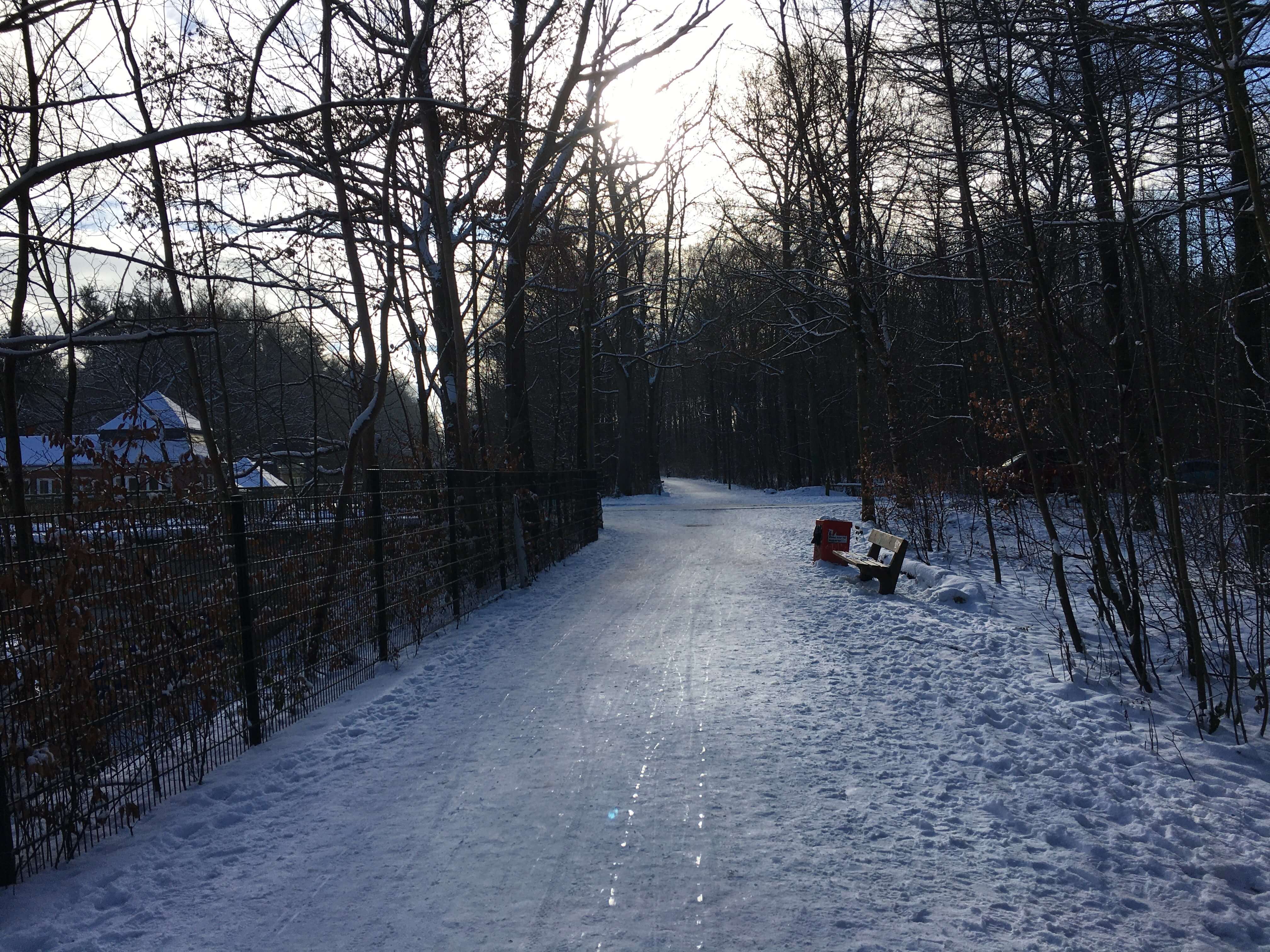 A forest path in the winter, near a train station in Volksdorf, a quarter of Hamburg in the northeast