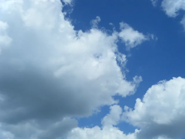 DSCF1010