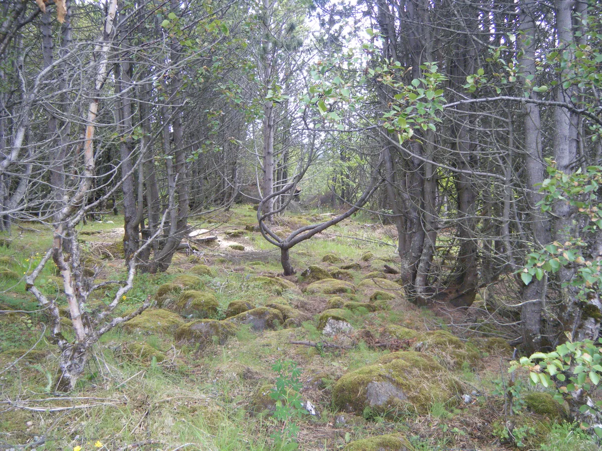 DSCF3225