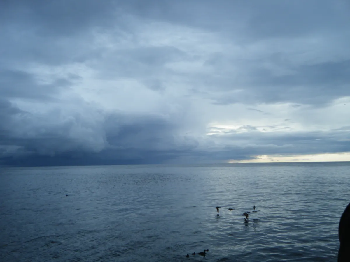 DSCF3239