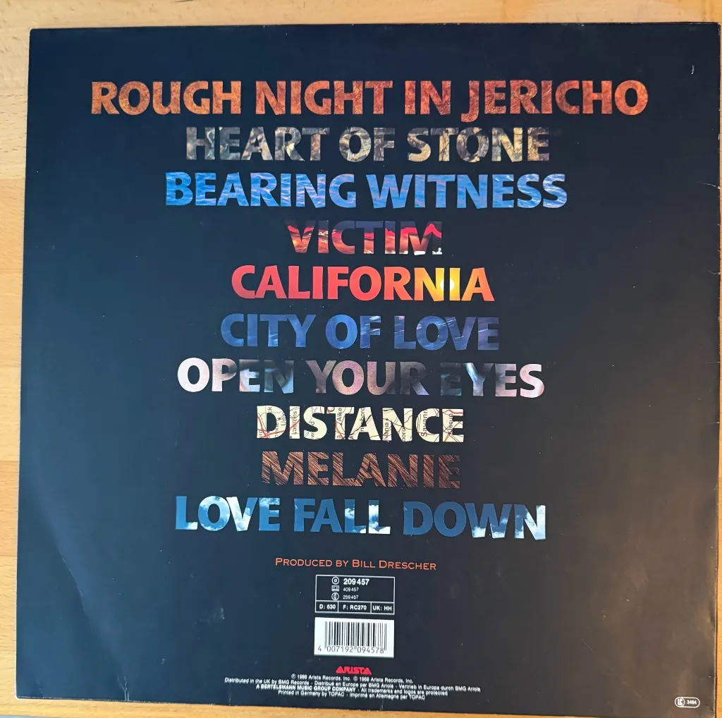 Rough Night in Jericho Vinyl LP