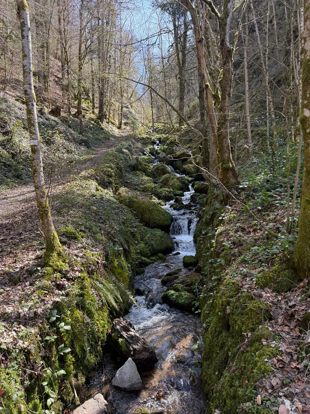 wanderung_felsenhuette_2