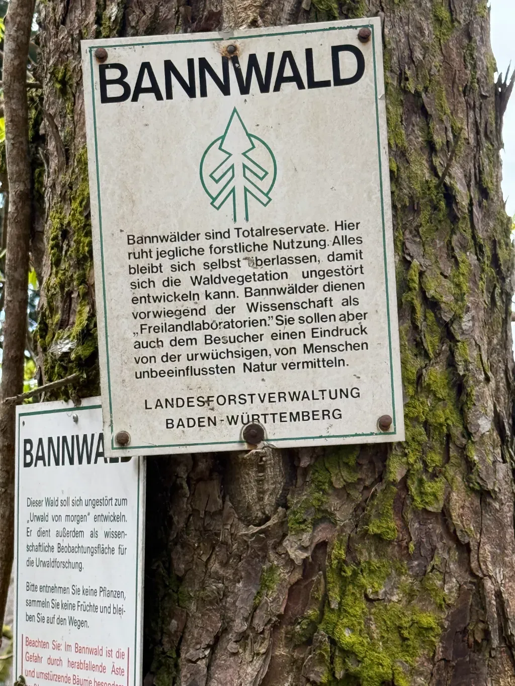 wanderung_felsenhuette_4