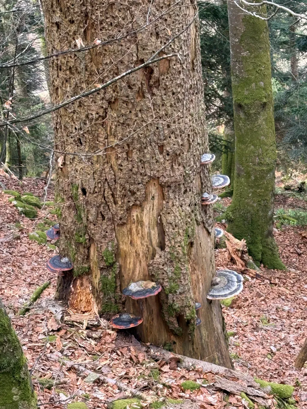 wanderung_felsenhuette_5