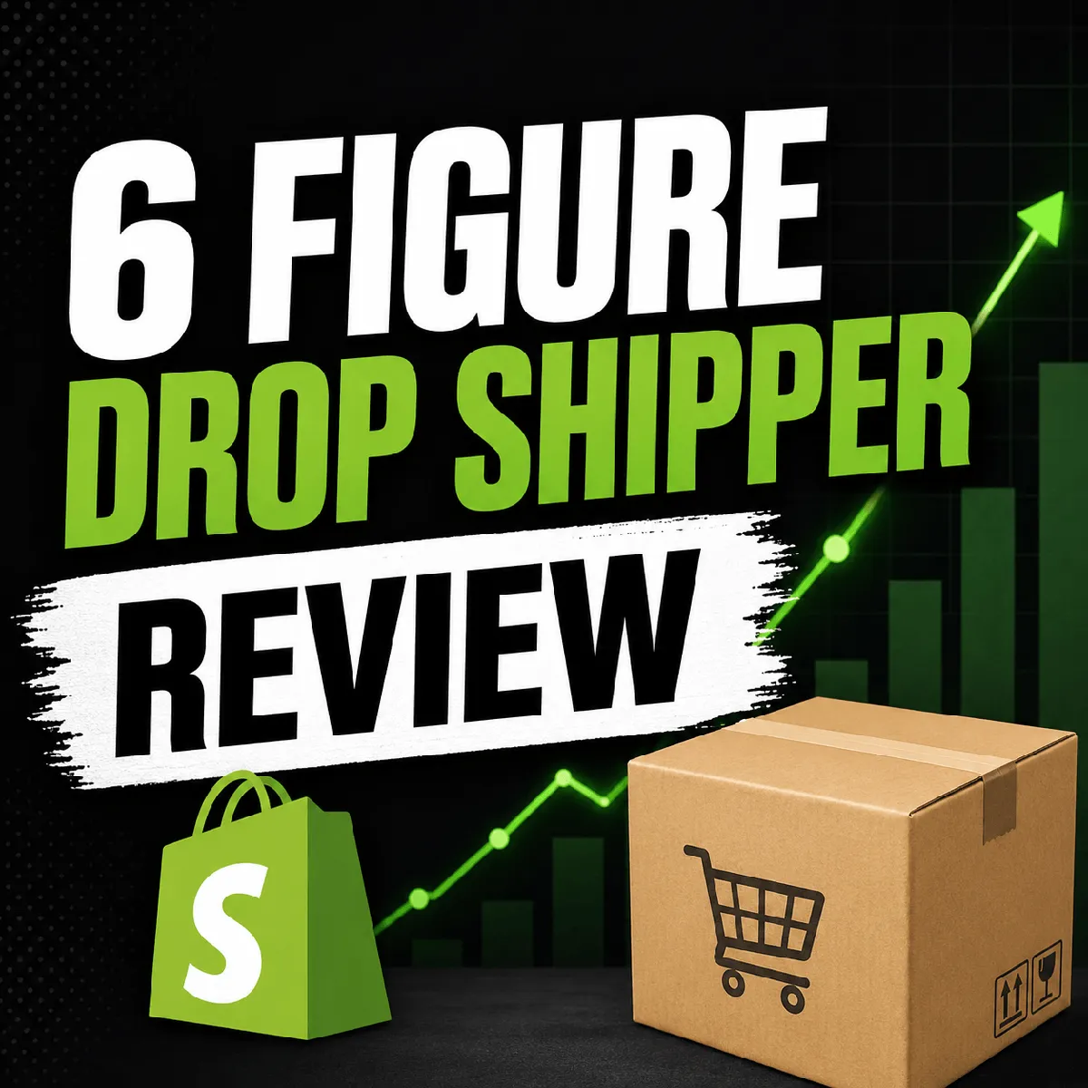6 figure drop shipper review