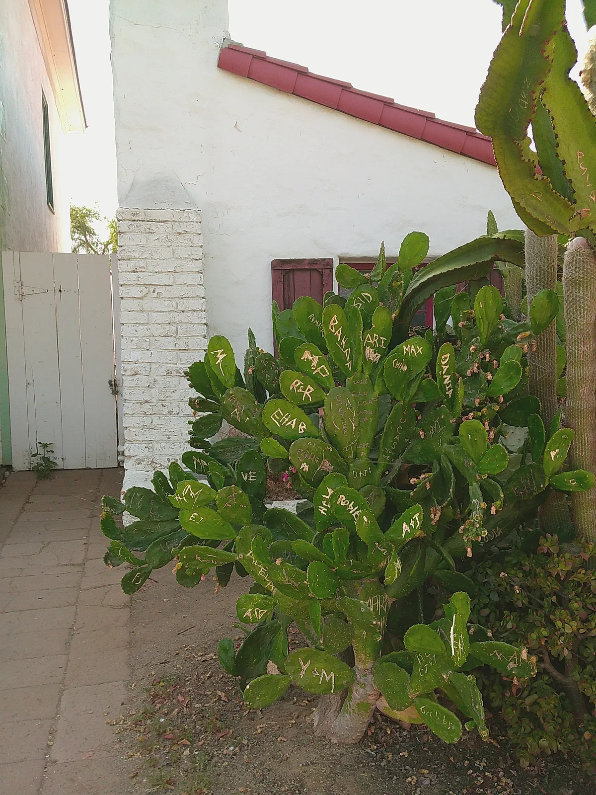 DSCF0108