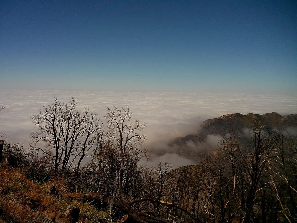 DSCF0208