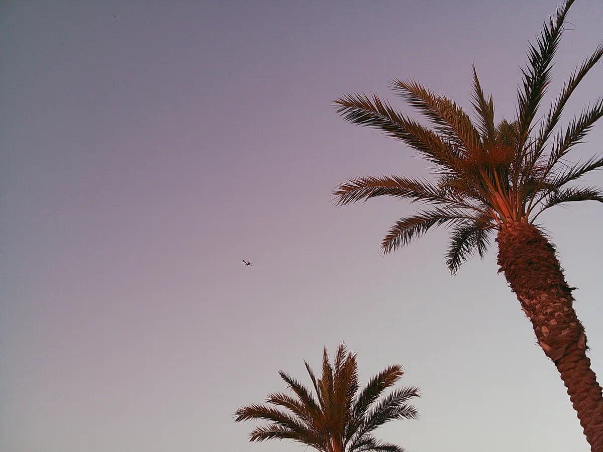 DSCF0259