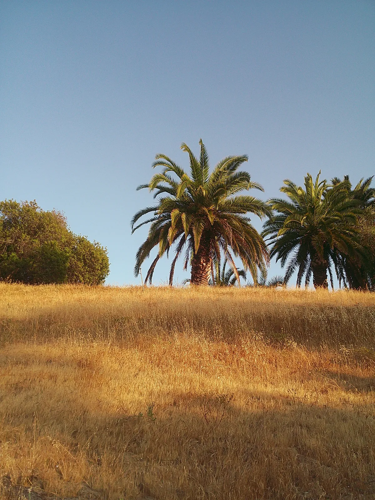 DSCF0471