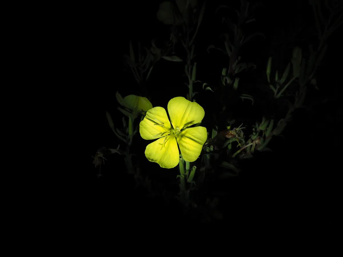 P9241220