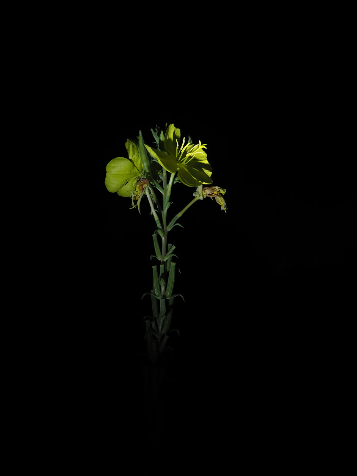 P9241224
