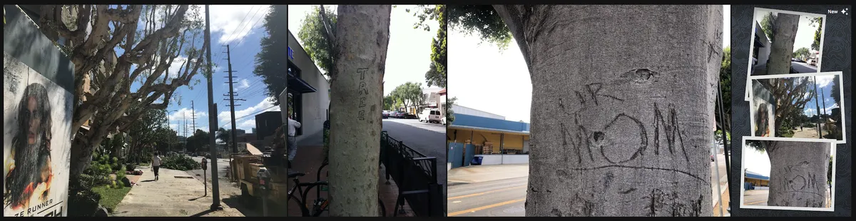 similarshots2