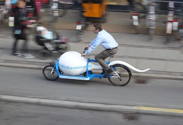 spermbike1