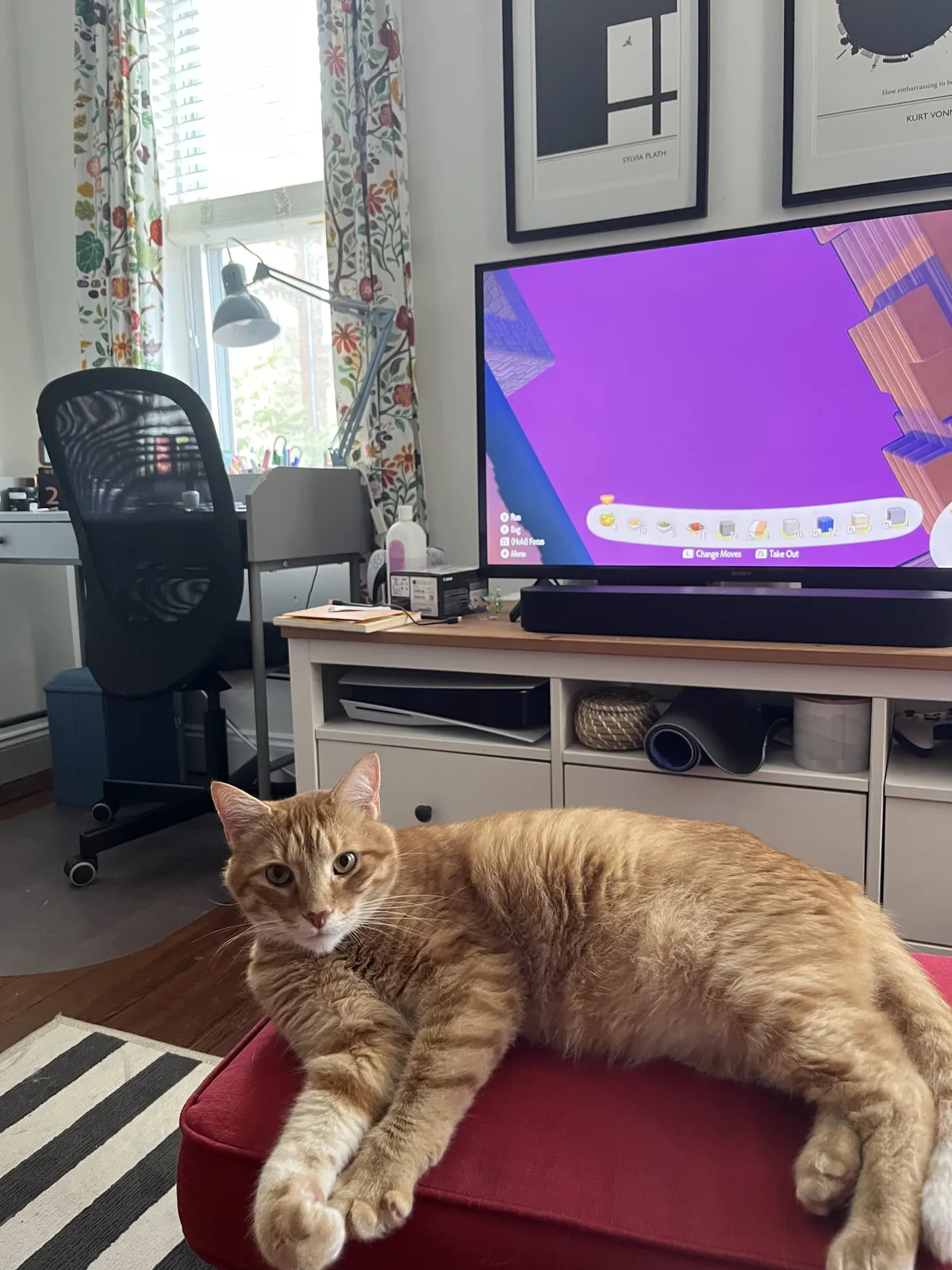 kratos - new cat