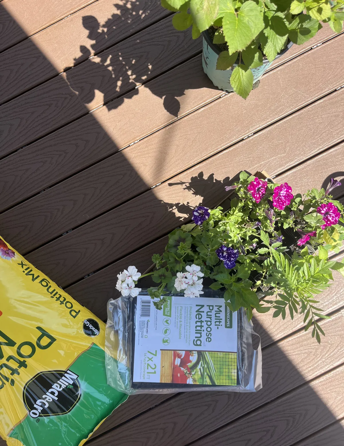 a view of potting soil and plants