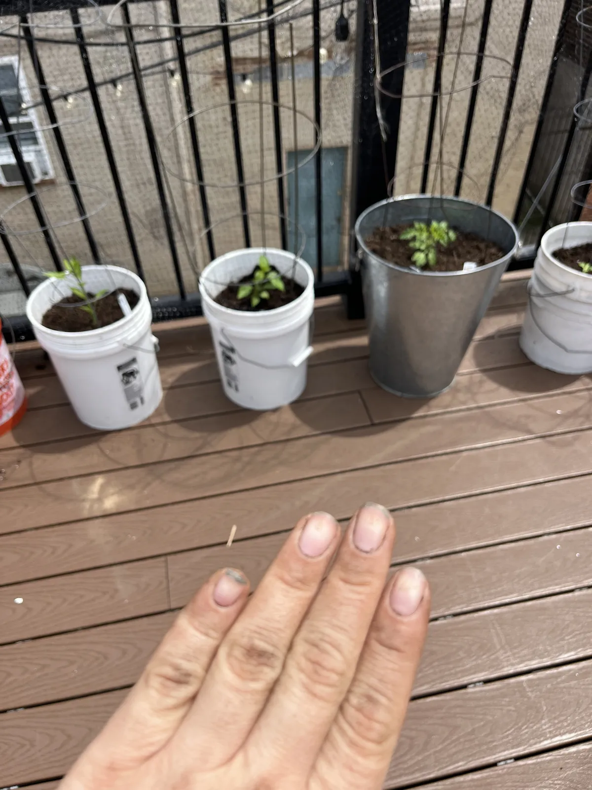 dirty hands from planting yay