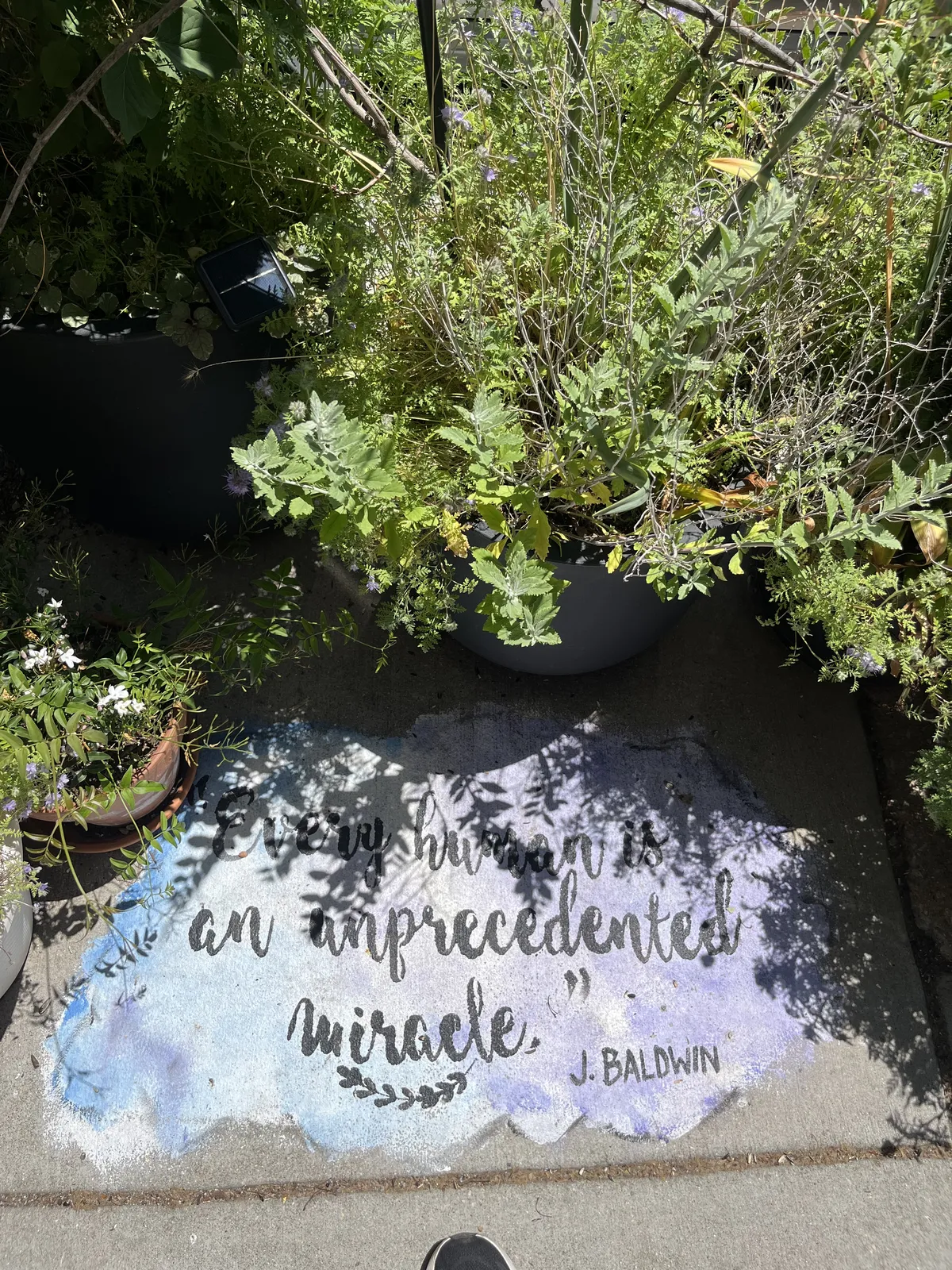 every human is an unprecedented miracle 